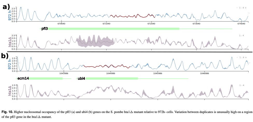 Nucleosee. A Visual GEnome-wide search tool for Nucleosome Patterns